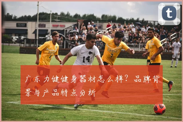 广东力健健身器材怎么样？品牌背景与产品特点分析